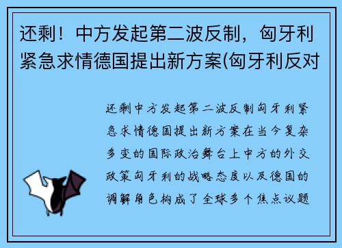 还剩！中方发起第二波反制，匈牙利紧急求情德国提出新方案(匈牙利反对派称若当选将终止中资计划)